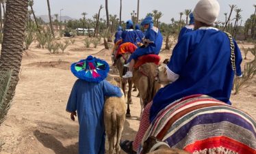 Starry Tours Magical Evening in Agafay Desert with Camel Ride and Dinner Show
