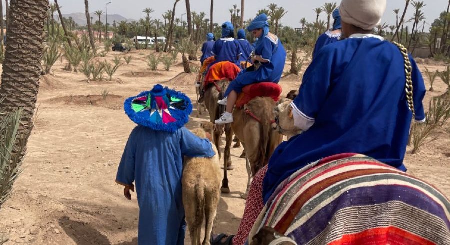Starry Tours Magical Evening in Agafay Desert with Camel Ride and Dinner Show
