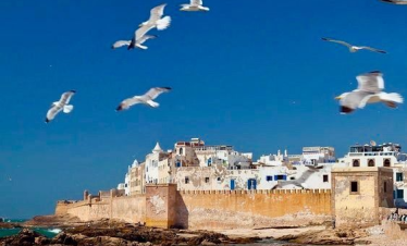 Starry Tours Tour 2 days to Essaouira Mogador & beach from Marrakech