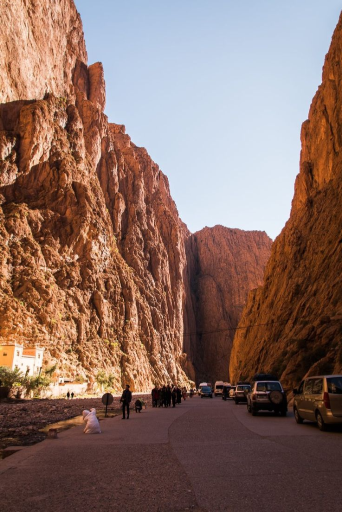 Starry Tours Trip Search Result Starry Tours Trip Search Result