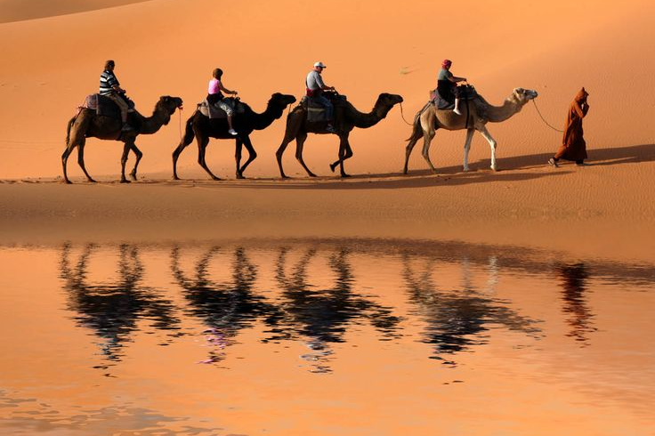 Starry Tours Tour 3 days to Merzouga desert from Marrakech