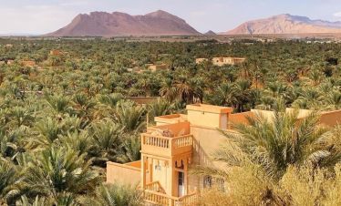 Starry Tours Tour 4 days trip family holiday to Sahara and kasbah from Marrakech