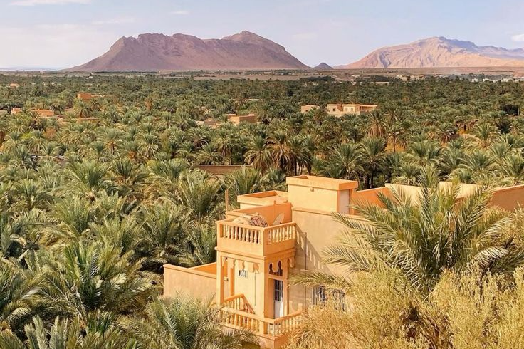 Starry Tours Tour 4 days trip family holiday to Sahara and kasbah from Marrakech