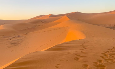 Starry Tours Tour 8 days from Fez to Moroccan kasbahs desert and Marrakech